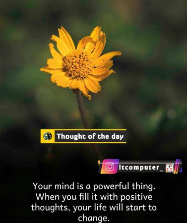 11.